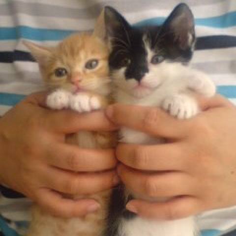 3b44f867 e3f5 4a06 93a5 f0a92f73586f