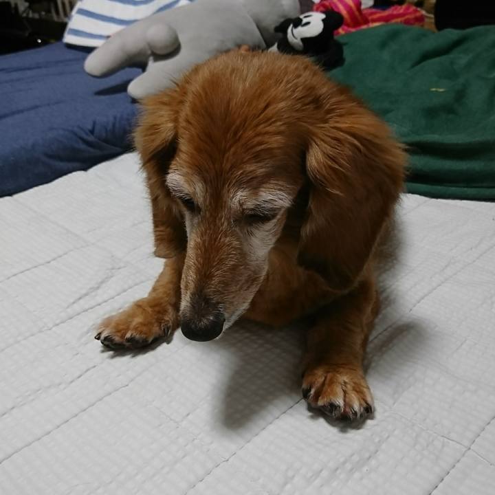 3b457943 a740 4677 8bf9 cead803b7473