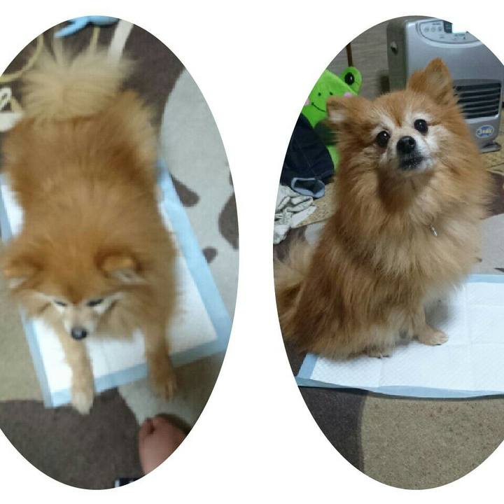 3b45b954 9a34 48bc 838c 06488d6785c0