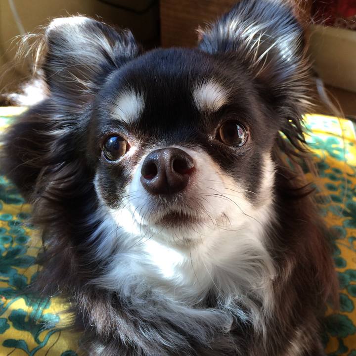 3b45bc13 05a6 4768 95d8 2873a3fe2495