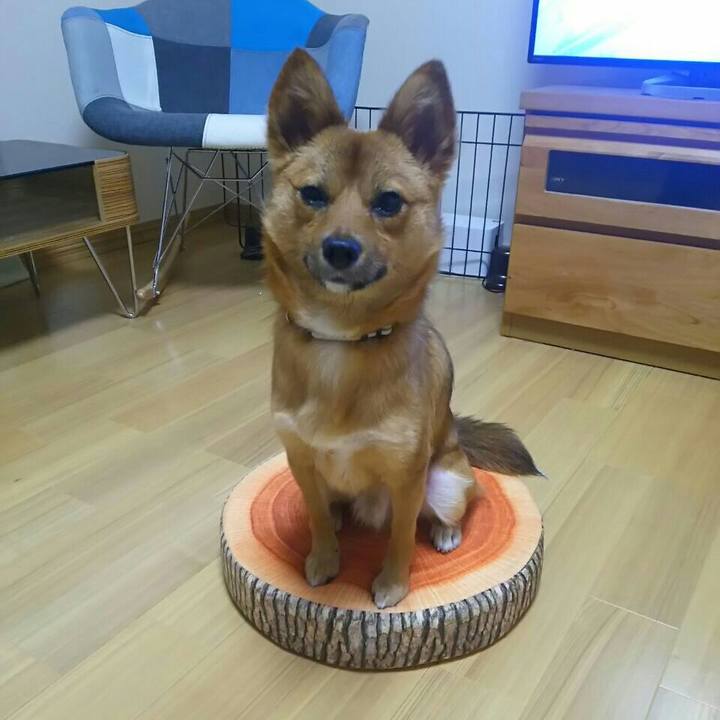 3b45e1fc 2539 461f 9153 2dbfbef2ee82