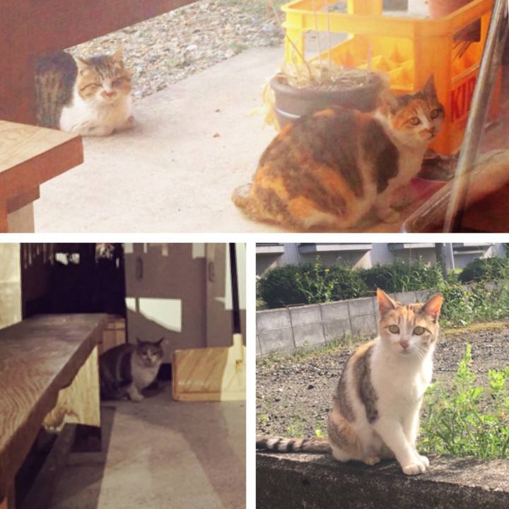 3b465d5d 8357 4dc9 a49c 37c340639f21