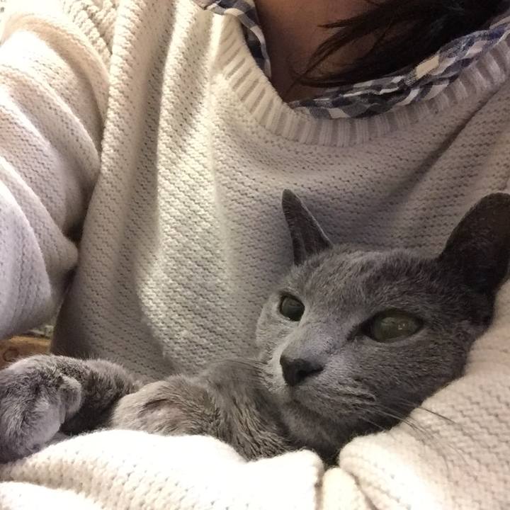 3b468d18 dfd3 4c9c 80fd 0c600ad9c38d