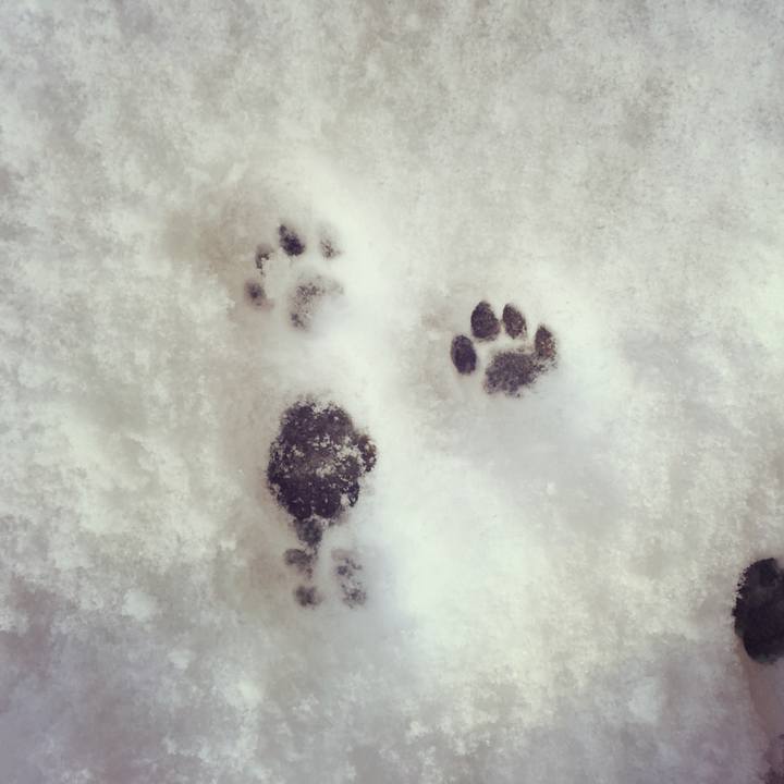 3b46c763 8b65 48eb 93eb 4c44b1ca2fc2