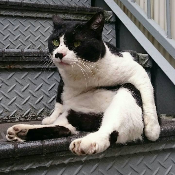 3b46ee36 850a 4af2 9daf cbf2b6f230dc