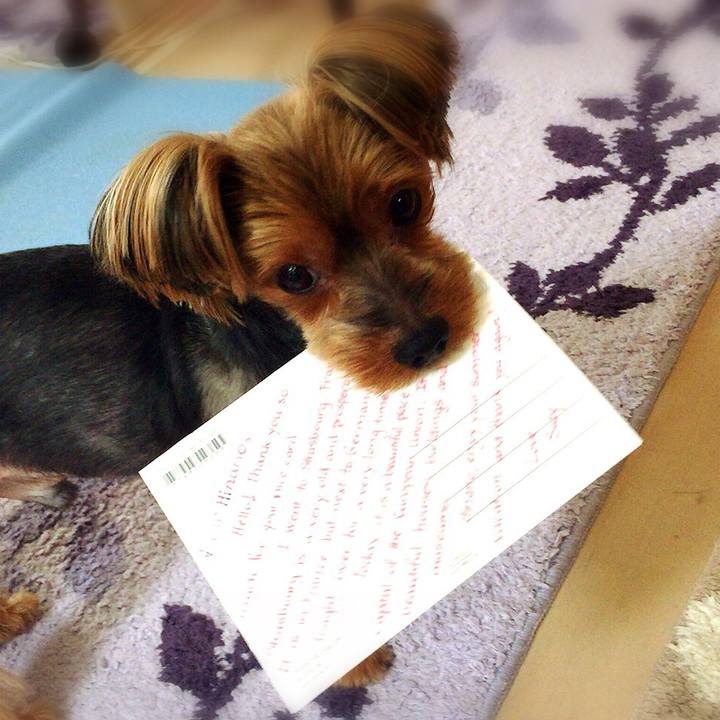 3b4704f4 cc04 4ce4 9dd4 2339dbee72ca