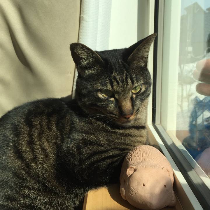 3b472c22 1270 4fb5 b3b6 c349287b95d8