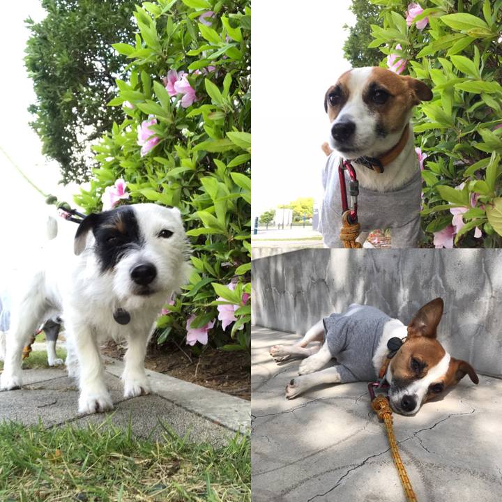 3b47321f 21c2 486b 97fe d2311c6e68fa