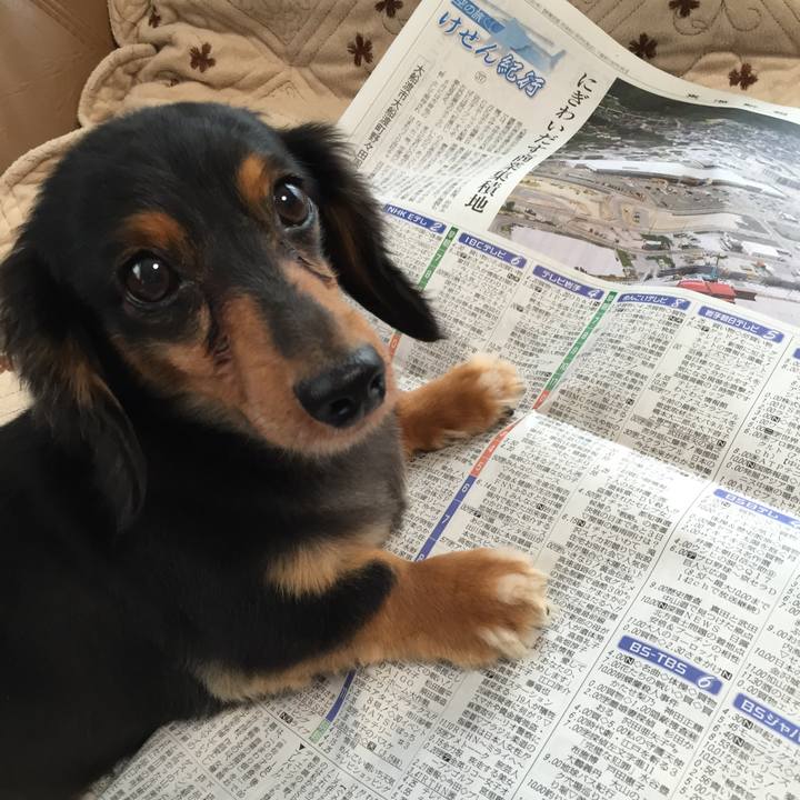 3b47954b caa1 4638 8dec e9179dbcfd1f