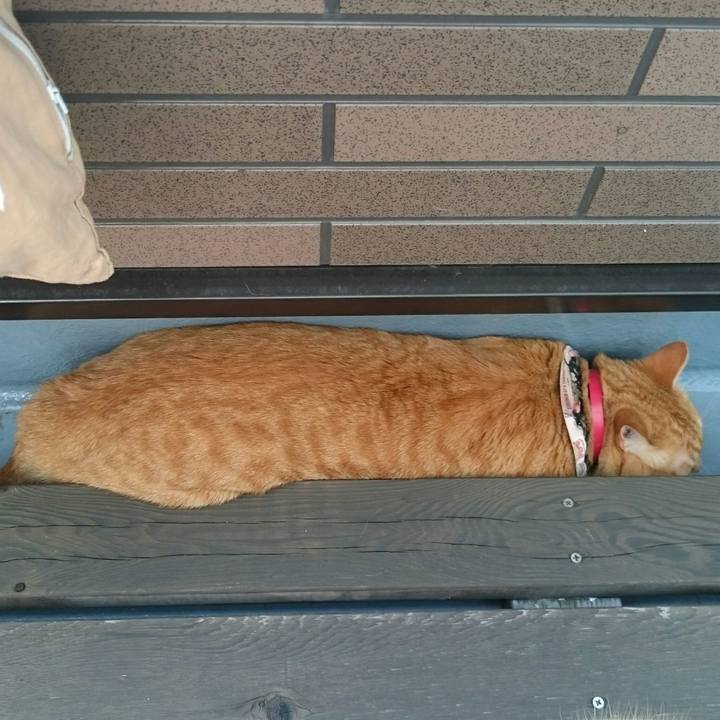 3b47d8d1 4dea 4a52 af55 be512310aaf2