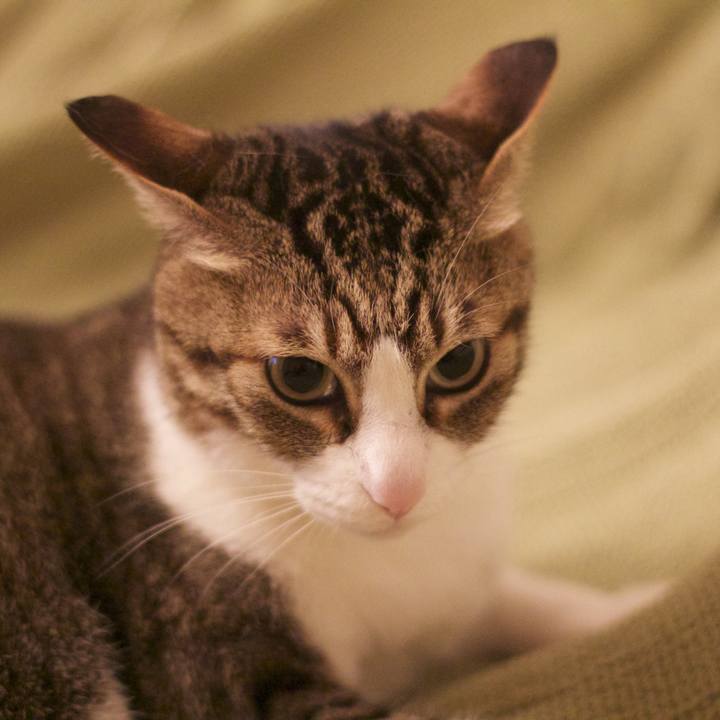 3b482f86 a64e 4834 8ac1 f029696c0de6