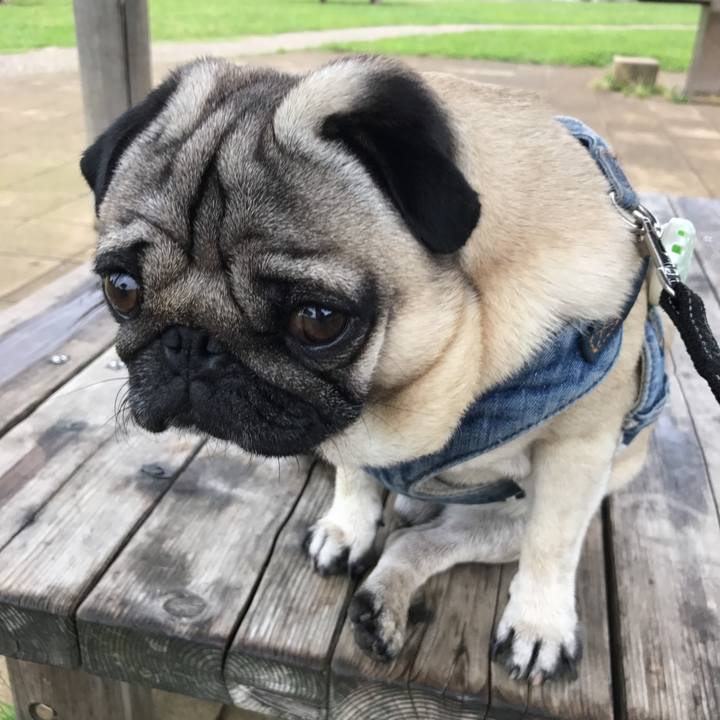 3b48cc0d ce6b 4d41 b2ab cf9f522ff5d3