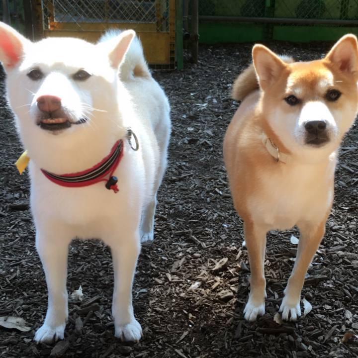 3b491ad0 5eff 460c 8feb c30629f42011