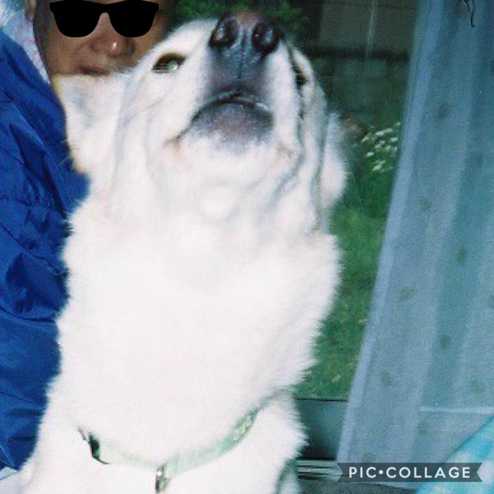 3b4924f1 b161 417e 8e91 6f1742c33b04