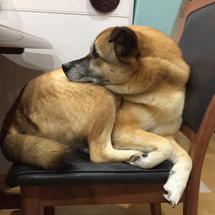 3b492a9b b105 41d7 93b6 642d6b888355