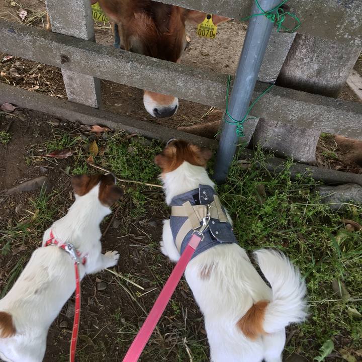 3b49aa9b 7586 4156 8a7a b9022c34ff1d