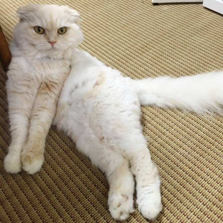 3b49c84f 6de7 4985 afa3 0eda64390649