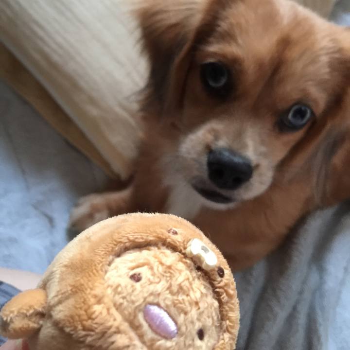 3b4a6c8d b4af 4511 8a6d deda1e5aeebd