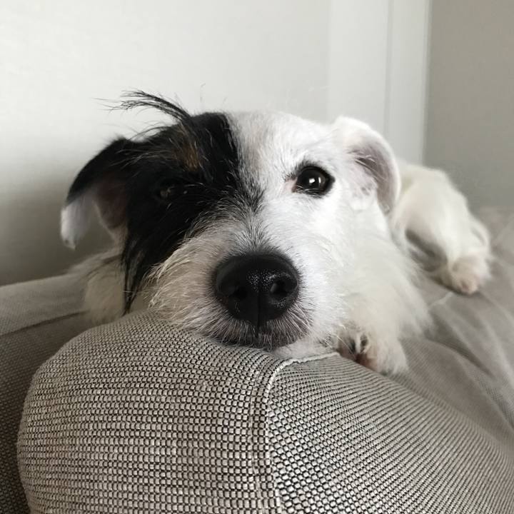 3b4a8f05 72f7 4516 985d c34ba43fb647