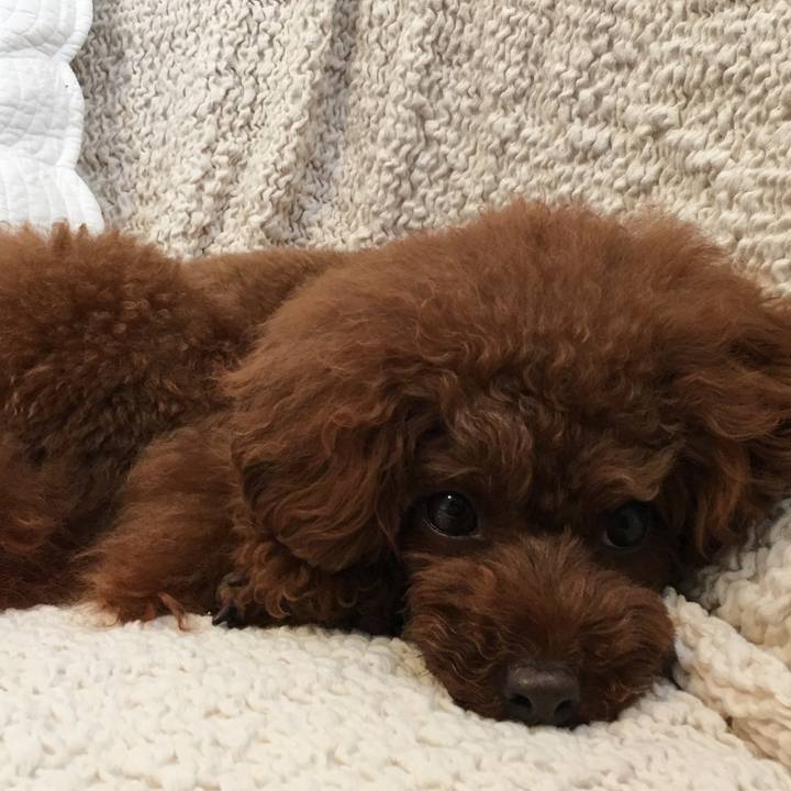 3b4b5084 e8e4 4b7f 8f13 fc94d6cba2ef