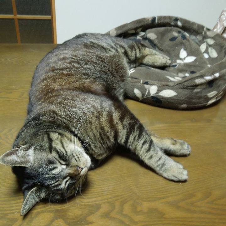 3b4ba41d 4fa6 47ee 8504 68d1ce525717