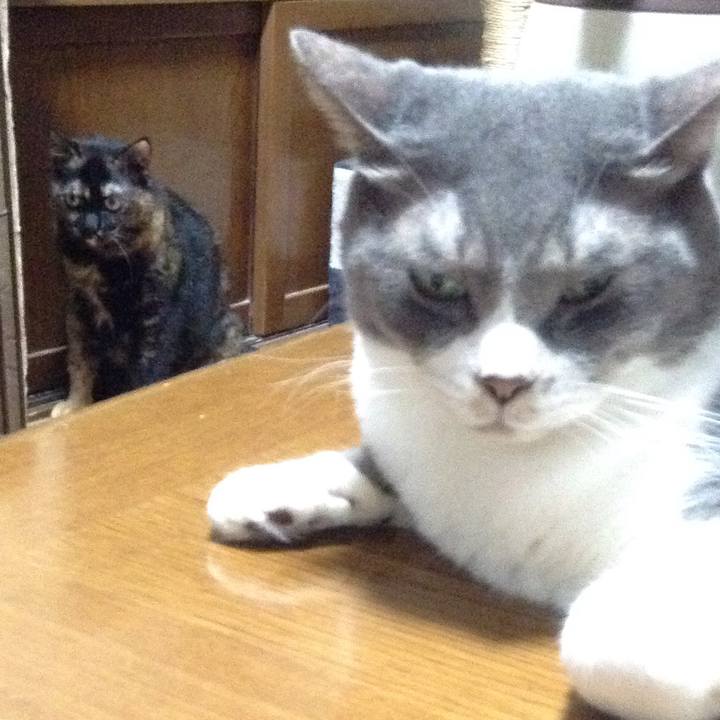 3b4bbb54 3e9b 4575 928e 4191416aa89f