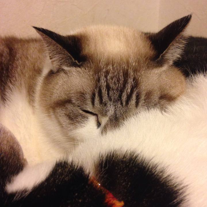 3b4bc1ac faf4 4a4e 84d8 9ba4a8ae8784