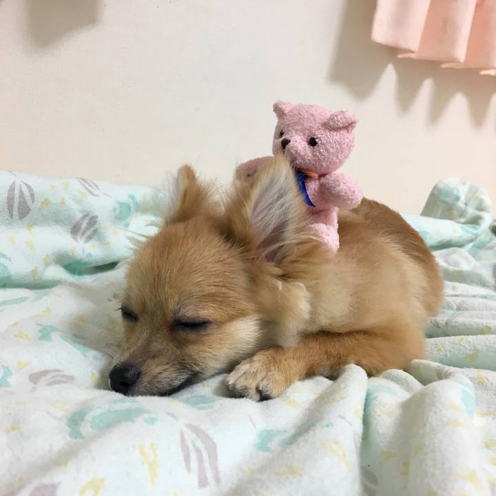 3b4cc2cd a871 4d95 bd39 2dcbc5036bdd