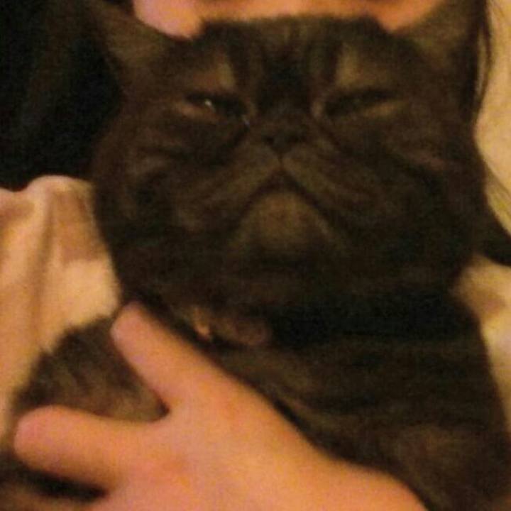 3b4dbca9 d589 43a3 bf22 d362b8f15b31