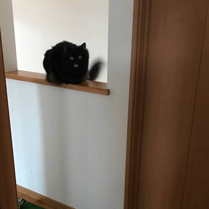 3b4de806 dc84 4470 92b4 3f1b8395dc07