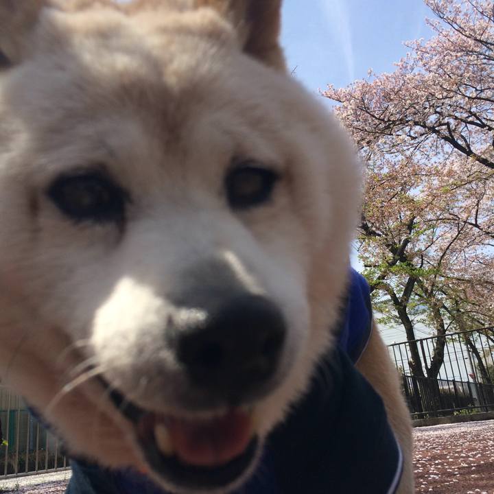 3b4ee030 2a70 4c7c b276 f11644af213d