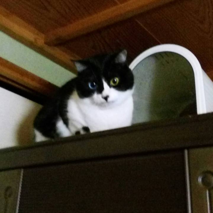 3b4f78b4 2dc4 460f 8eeb 0fff9021e9ff