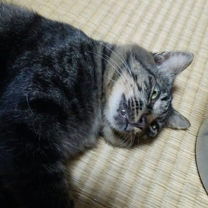 3b50f29d cac5 42e7 914e 31862b37daf2