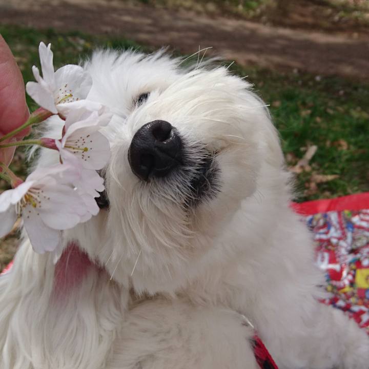 3b50faa5 a235 4bcb bc61 eafe22fd624d