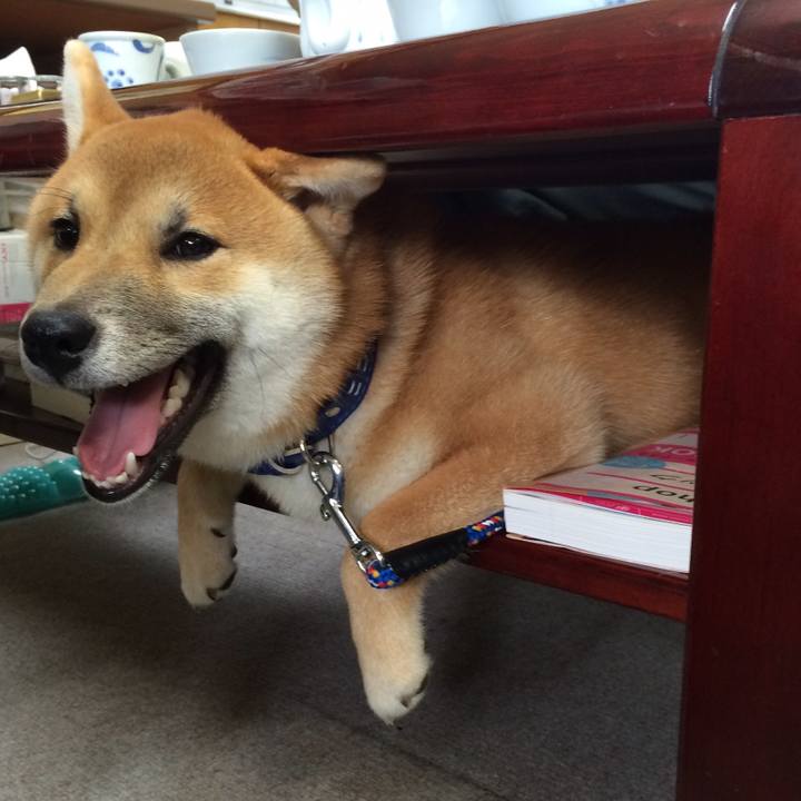 3b51853e 08bc 4a1a 8b5c 007d936cfd4a