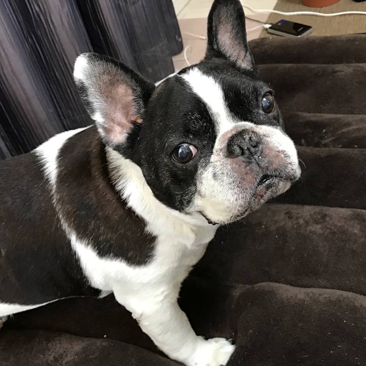 3b519944 014b 424d 9690 9a4b0c208aba