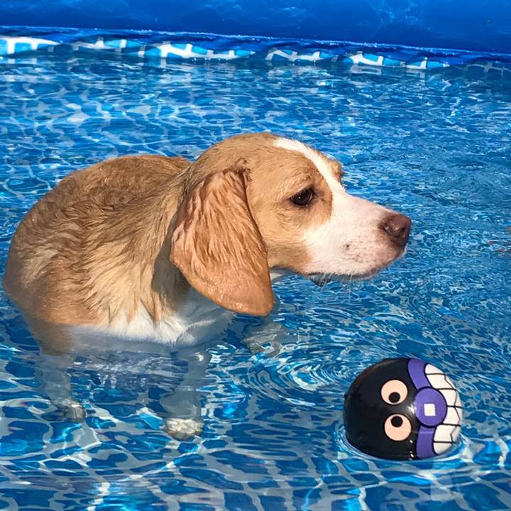 3b51e96b 0db9 4ae7 a104 94bb24e00d46