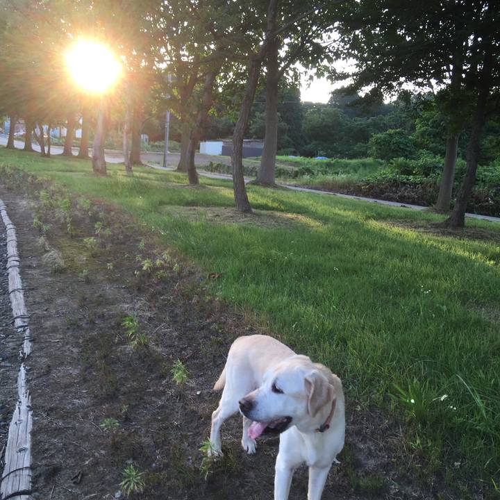 3b51ed12 2af2 47fa a351 95acbf0ca7fb