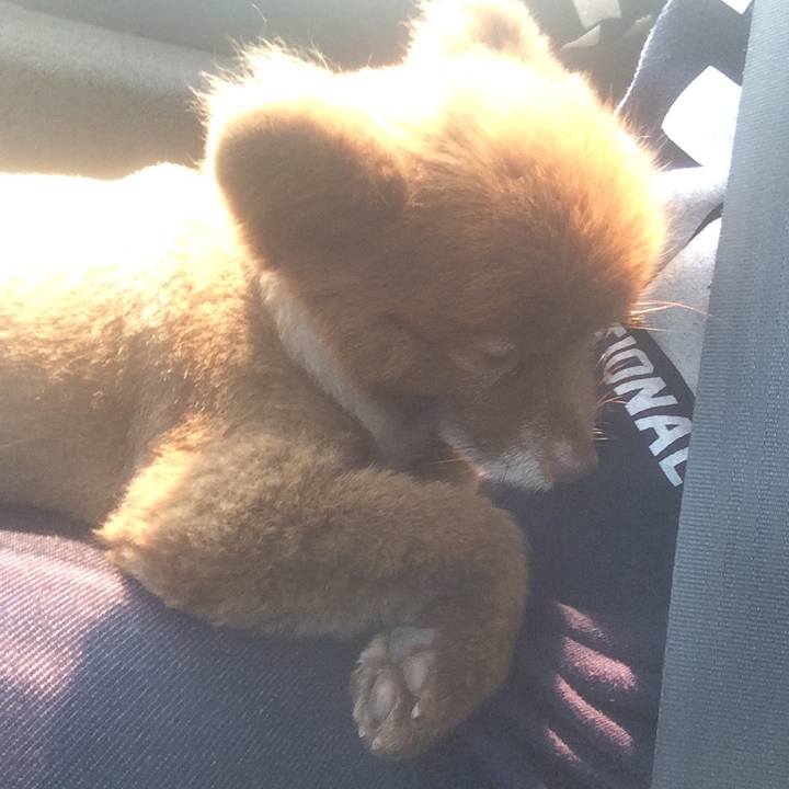 3b523f29 b480 4ab6 9c57 b2d255c4efca