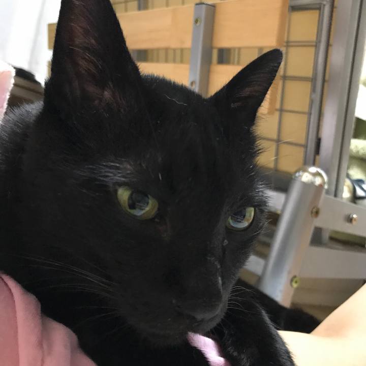 3b52acb0 f424 467e b857 ef9d3f5f14ad