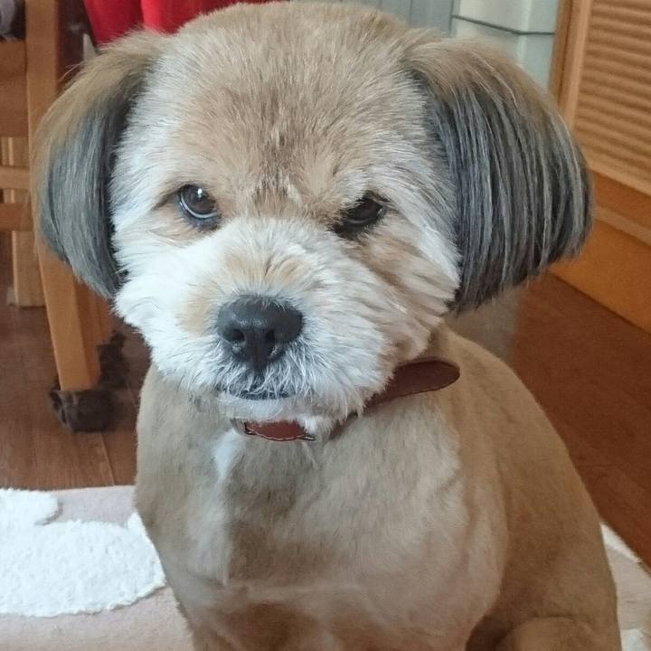 3b52aec5 a8bc 495b be82 f9c797817b54