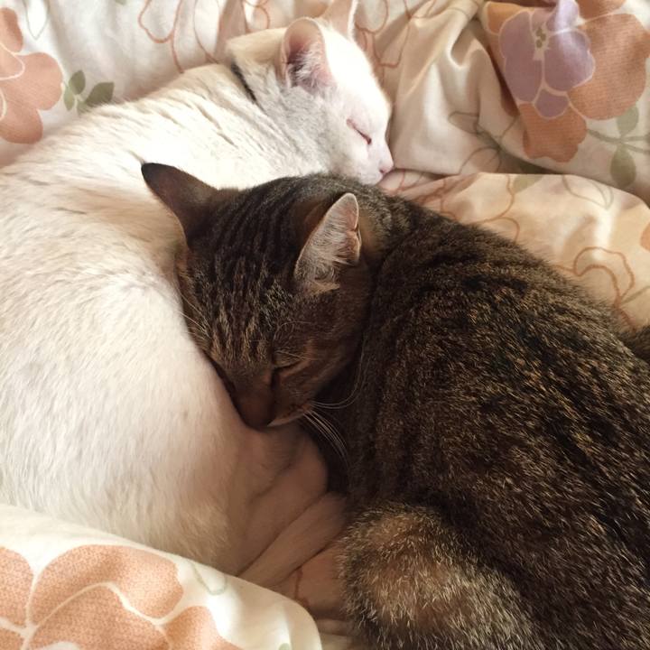 3b5331a4 dea3 4b76 9ac7 9524794966ab