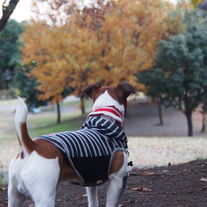 3b543108 3f80 44df 89ef 7b481b409ca5