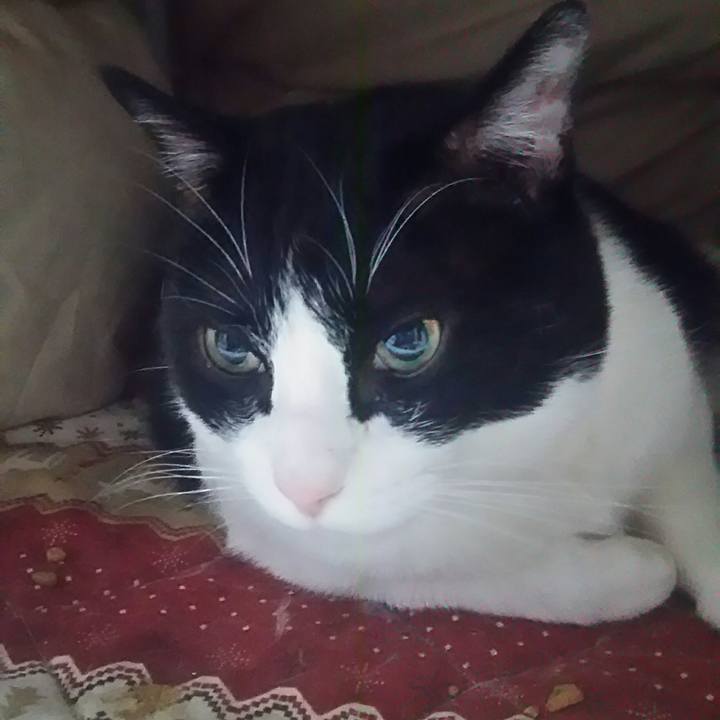 3b54f26d 2ab8 41b5 9162 c2e31475aca0