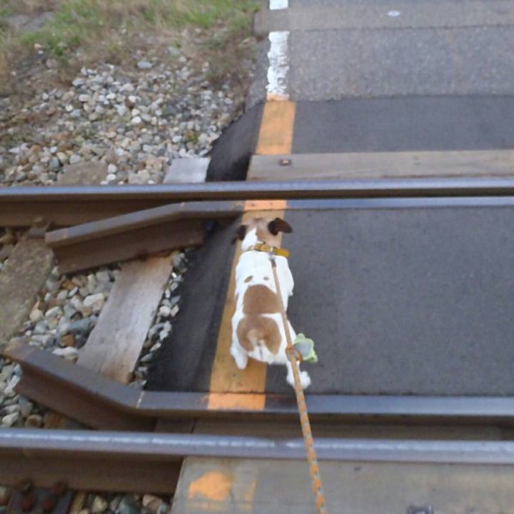 3b5559a9 a77b 41d1 b864 d3d02809c477