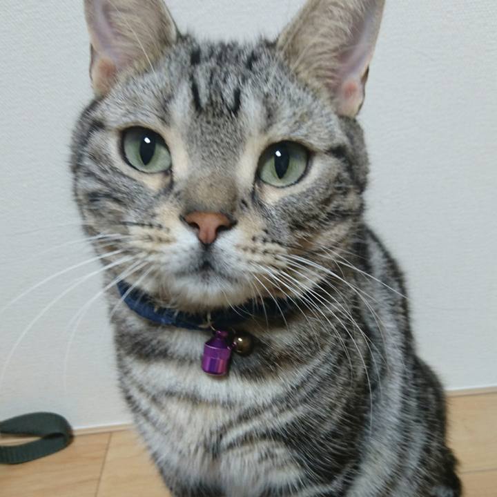 3b5590e4 4bce 4404 902b 2e0b20f52cb4