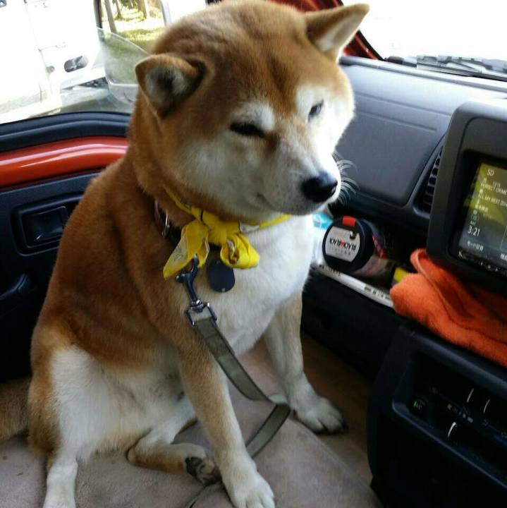 3b5624cd 7163 4372 9da2 ccb9e4268513