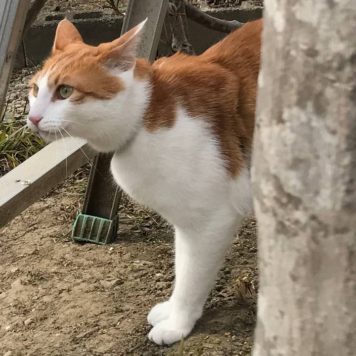 3b566046 5a90 4f54 bcb3 8eae6ed777e7