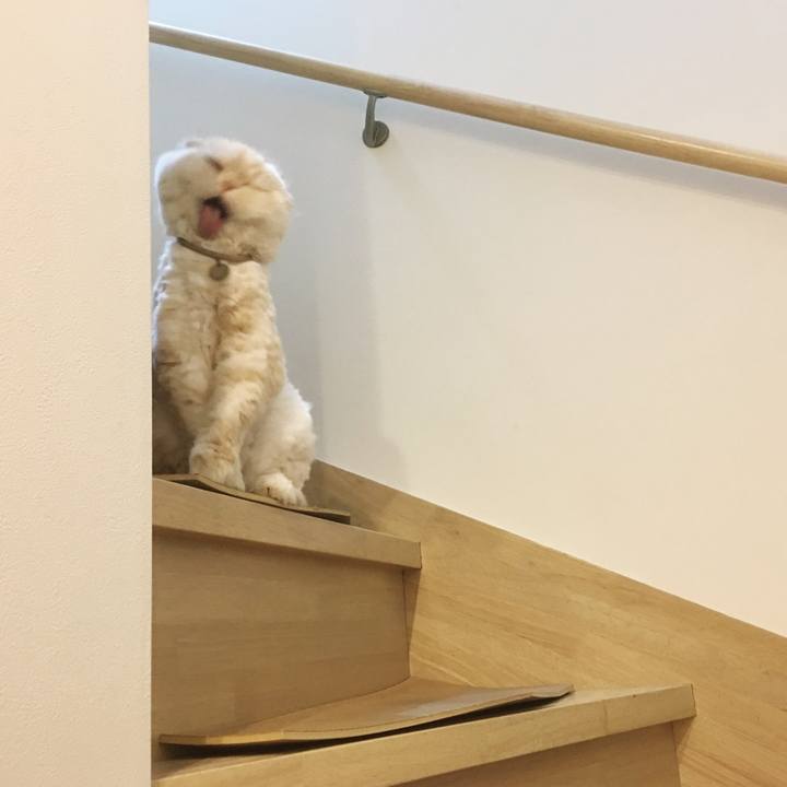 3b56c033 1ee9 4d83 a71f 38f4c7a4c34e