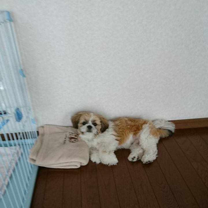 3b56ece4 35d2 4f85 bf9c 6e25306315bf